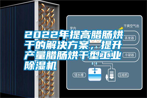 2022年提高臘腸烘干的解決方案，提升產(chǎn)量臘腸烘干型工業(yè)除濕機