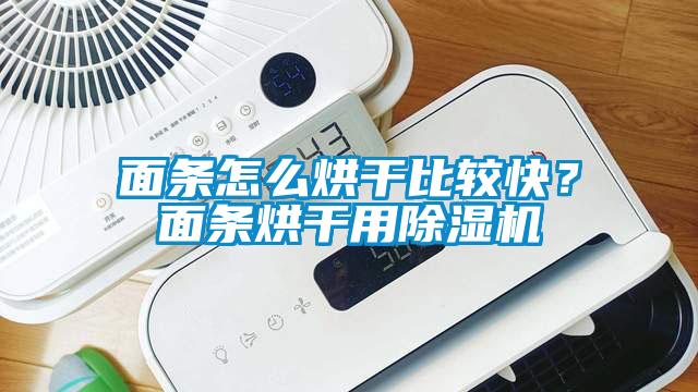 面條怎么烘干比較快？面條烘干用除濕機(jī)