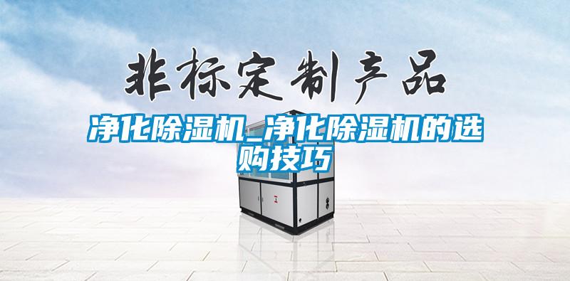 凈化除濕機_凈化除濕機的選購技巧