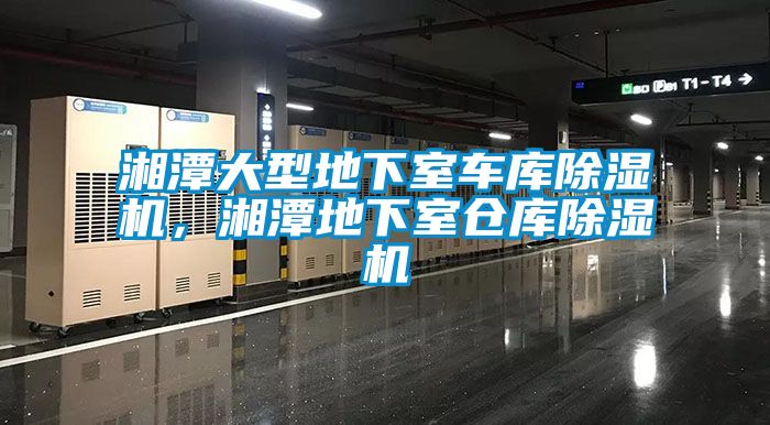 湘潭大型地下室車庫除濕機(jī)，湘潭地下室倉庫除濕機(jī)