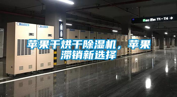 蘋果干烘干除濕機，蘋果滯銷新選擇