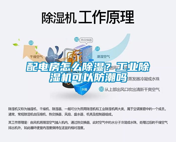 配電房怎么除濕？工業(yè)除濕機可以防潮嗎