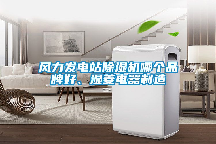 風(fēng)力發(fā)電站除濕機哪個品牌好、濕菱電器制造