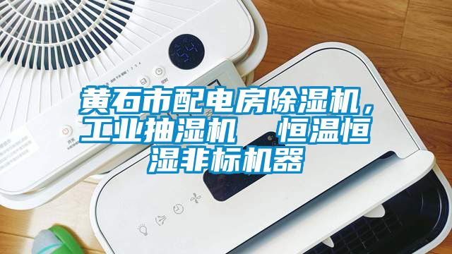 黃石市配電房除濕機，工業(yè)抽濕機  恒溫恒濕非標機器